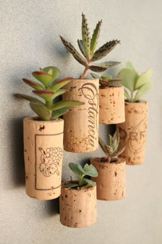 como-presentear-com-suculentas-plantas-terrarios-ideias-dicas (Foto: Reprodução/Pinterest)