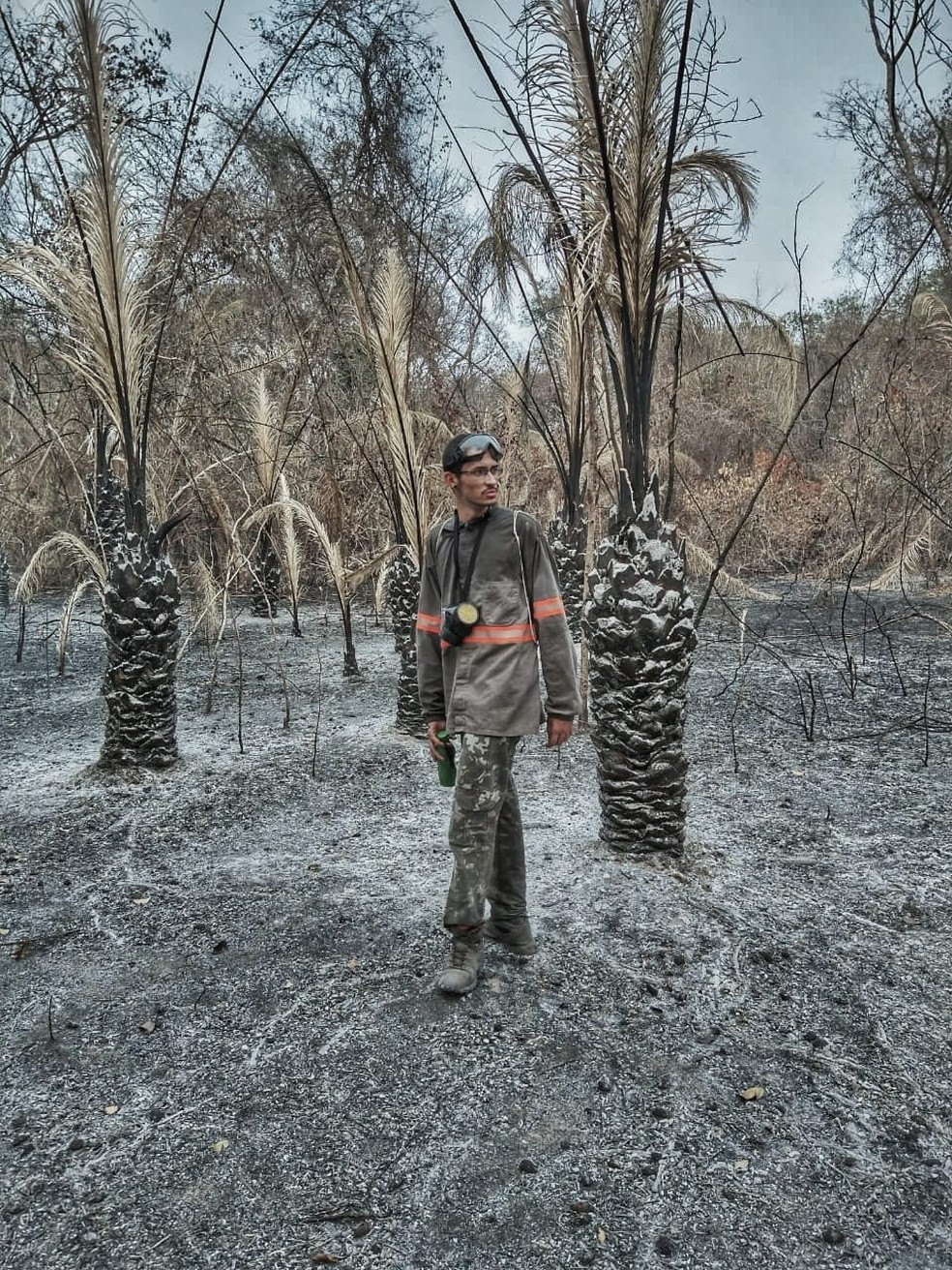 Pablo Edini Damião, biólogo morador de Martinópolis (SP), em floresta de acuri destruída pelas chamas, no Pantanal — Foto: Arquivo Pessoal