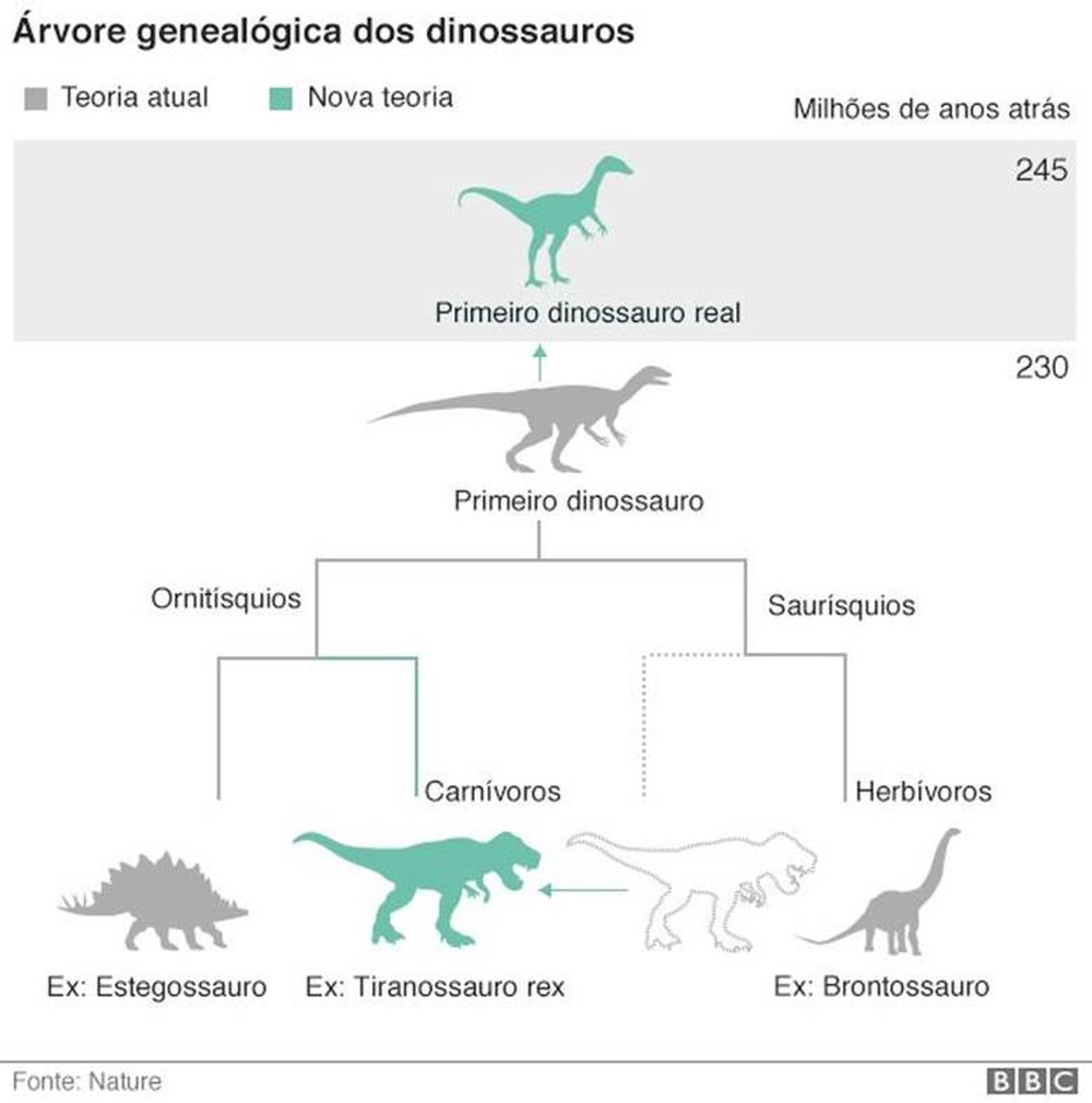 Com o Chilesaurus, palentólogos acreditam terem completado árvore genealógica.  (Foto: BBC)
