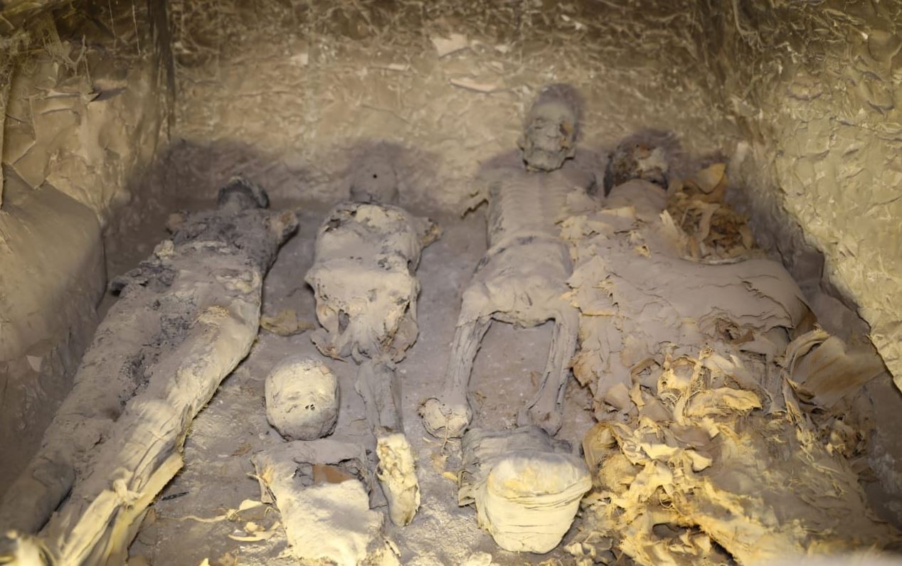 Família encontrada em túmulo próximo à cidade de Luxor.  (Foto: Twitter / Ministério de Antiguidades do Egito )