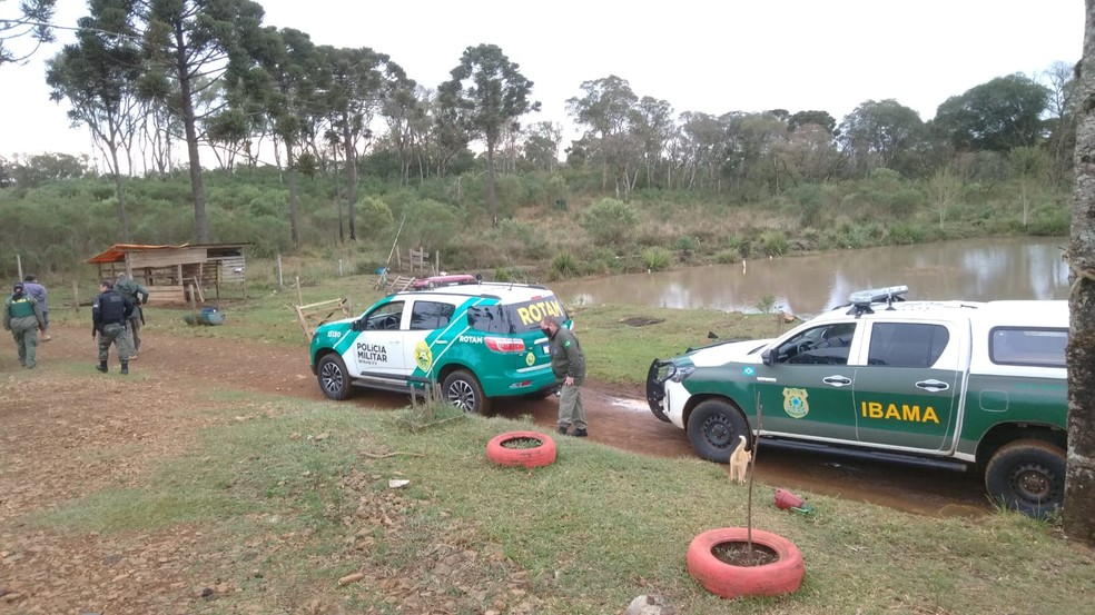 Youtuber de canal que mostra captura de animais com armadilhas é multado em mais de R$ 100 mil por crime ambiental — Foto: Divulgação/PM Ambiental