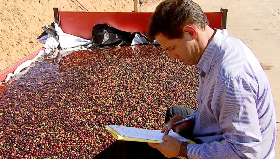 O produtor rural Ademar Pereira produziu café fermentado pelo segundo ano consecutivo (Foto: Reprodução/EPTV)
