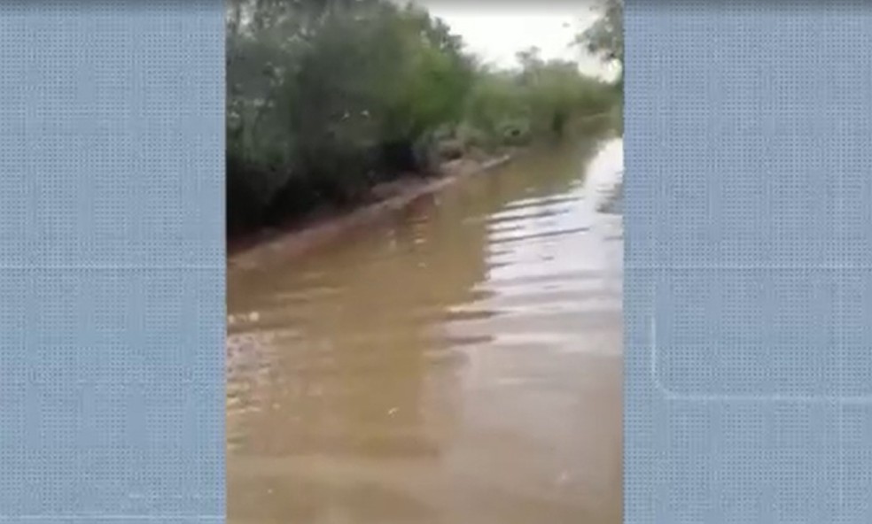 Barragens sangram no norte da Bahia — Foto: Reprodução/TV São Francisco