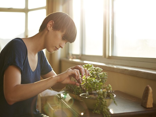 Dicas multiplicar as plantas em casa  (Foto: Getty Images)