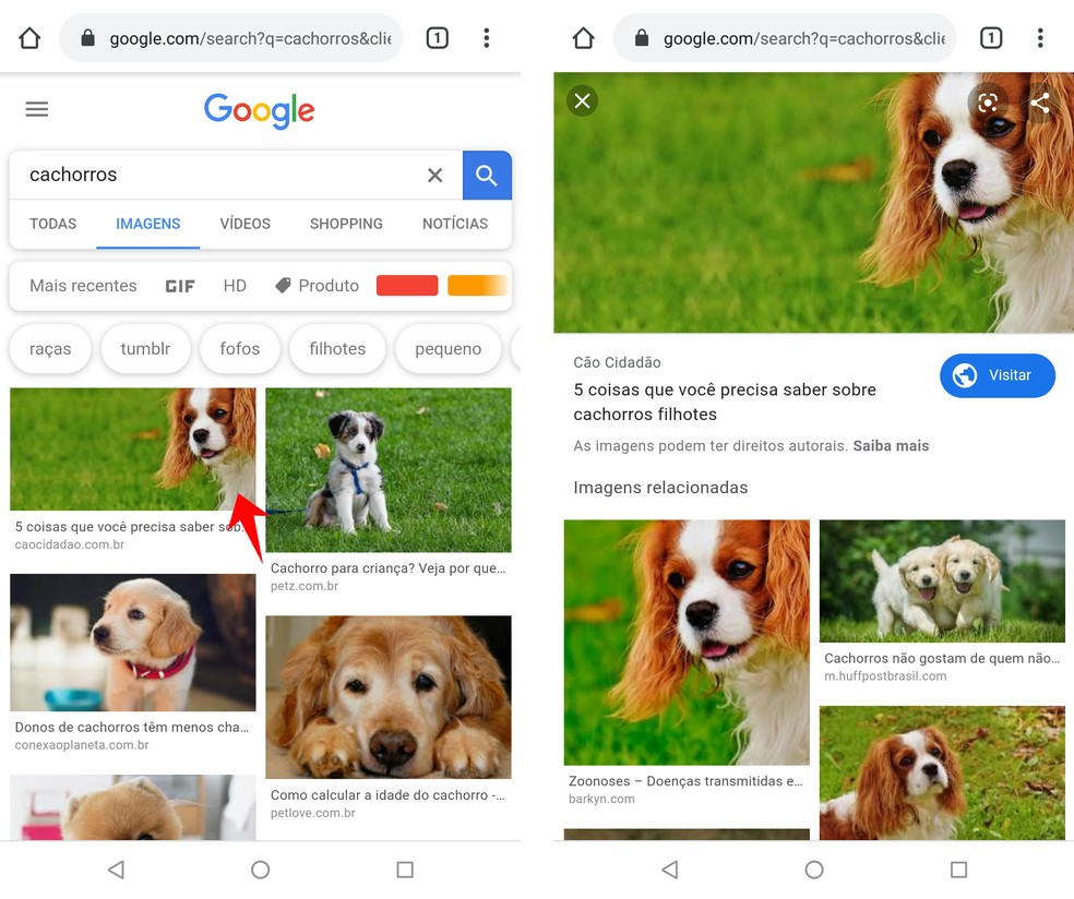 Como Pesquisar Imagem No Google Pelo Celular Lancadores E Buscadores Techtudo