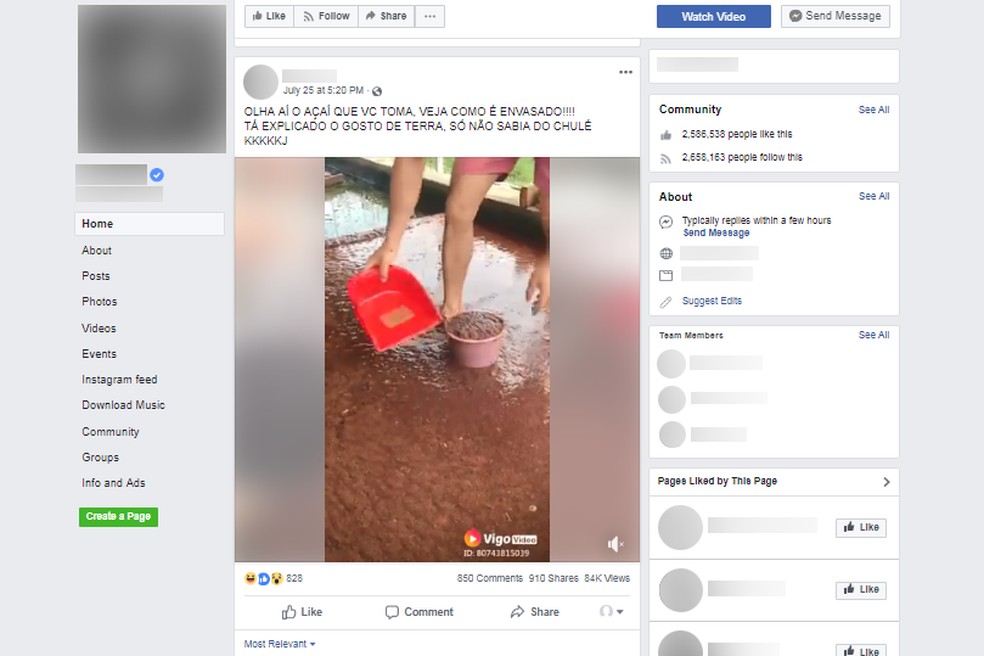 Vídeo mostra, na verdade, vermes que servem como alimentação para peixes (Foto: Reprodução/Facebook)