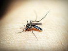 Saúde confirma primeiro caso de zika em Marília em 2017