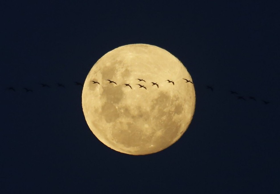 Lua ilumina céu desta sexta-feira (30) no Rio de Janeiro, prévia da Lua Azul (Foto: Marcos Serra Lima/G1)