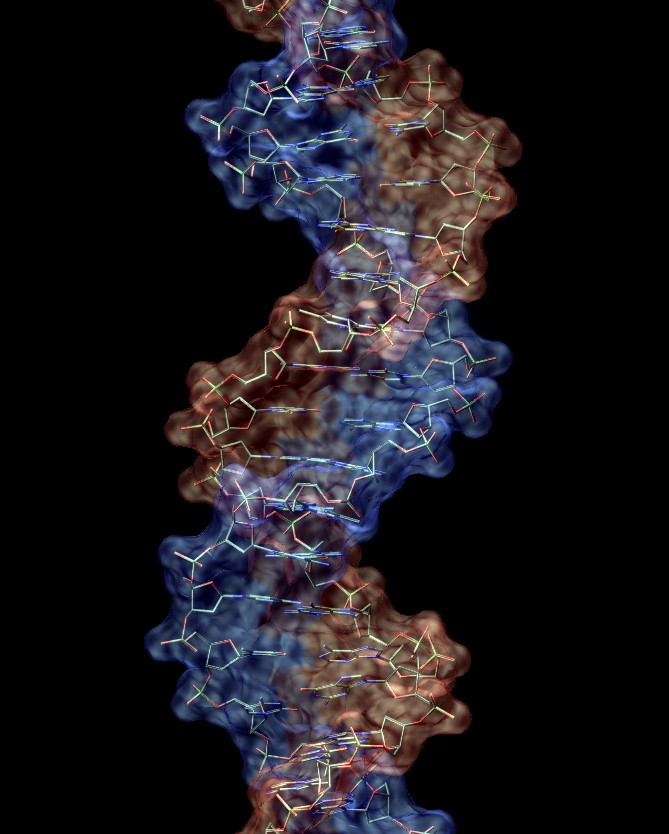 As formas de atuação do mecanismo de reparação do DNA renderam um Nobel aos pesquisadores da Inglaterra e dos Estados Unidos  (Foto: Flickr/ynse)