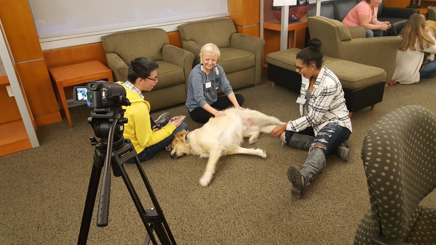 Terapia com cães pode ajudar no aprendizado de estudantes (Foto: Washington State University)