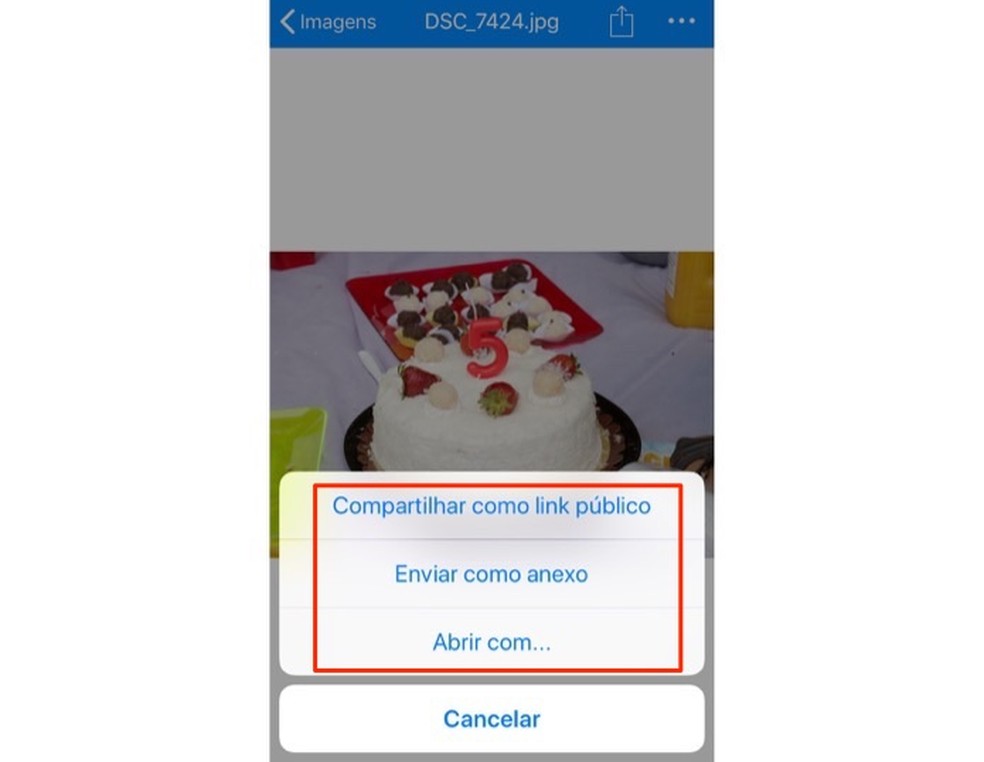 Opções de compartilhamento para um arquivo no aplicativo do serviço online Amazon Drive — Foto: Reprodução/Marvin Costa