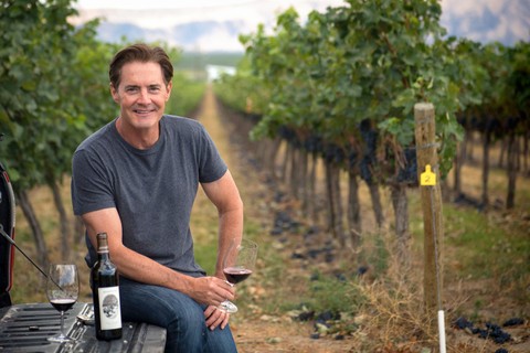 O ator Kyle MacLachlan é famoso pela série norte-americana Twin Peaks. Mas ele também é dono da Pursued by Bear, uma vinícola aberta em 2005. Um cabernet sauvignon da marca sai por US$ 70 (R$ 262).