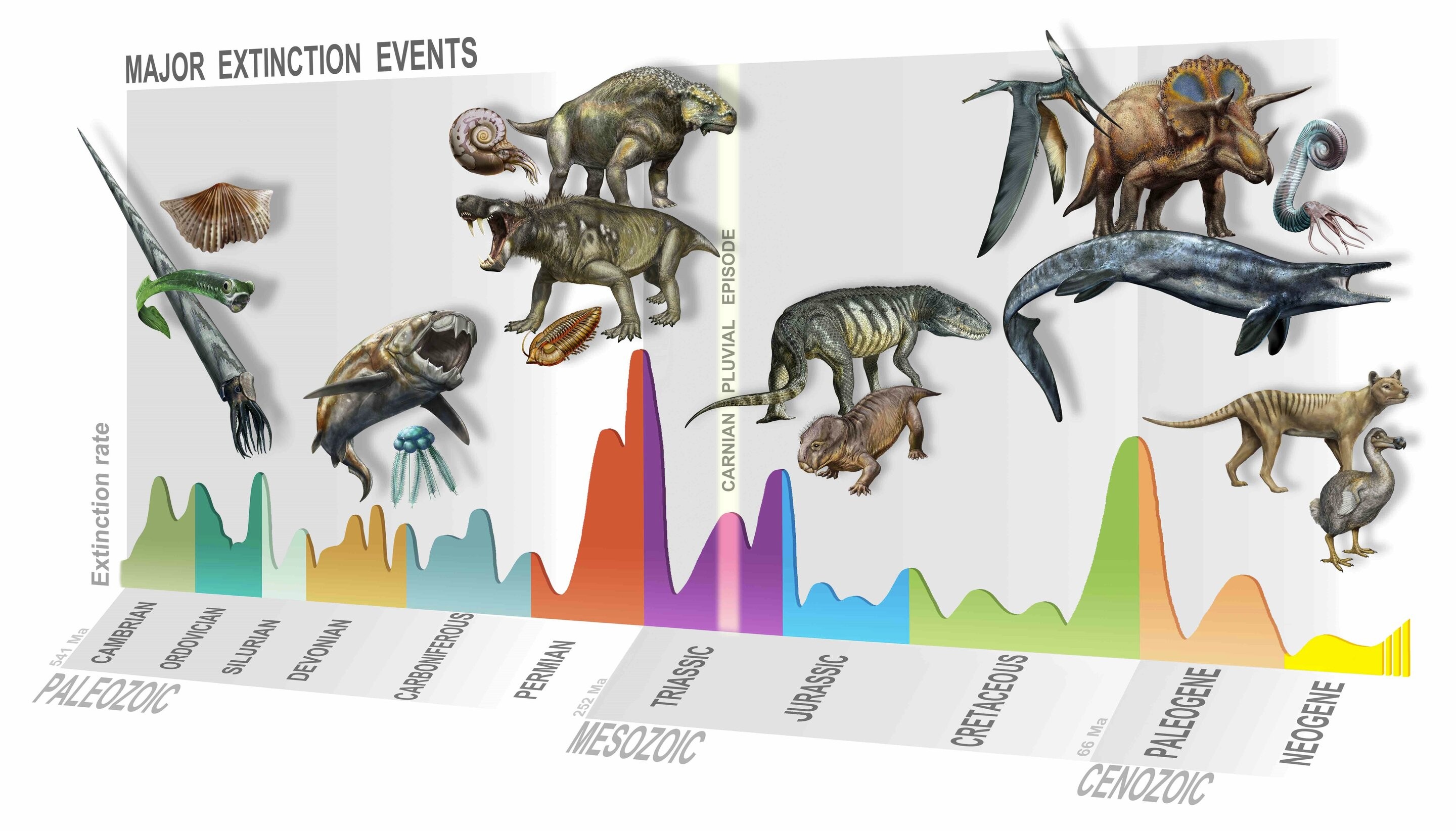 Extinção em massa possibilitou que dinossauros prosperassem na Terra (Foto: D. Bonadonna/ MUSE, Trento)