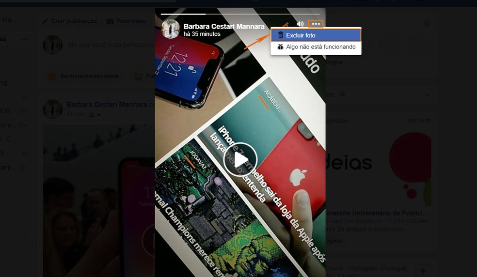 Como Baixar Stories Do Facebook No Pc