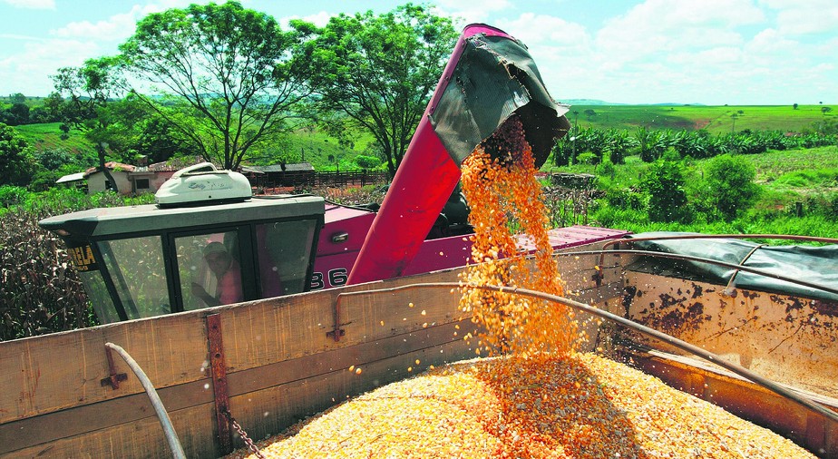 Com a perspectiva de colheitas fartas em culturas como o milho, segmento vegetal deve crescer 14,2%