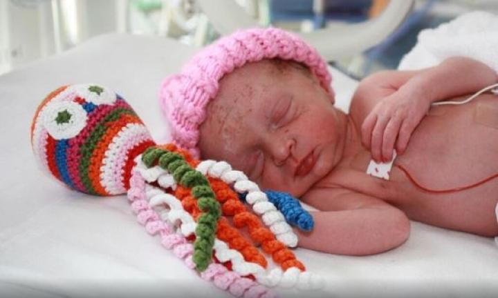 Maternidades dão polvo de crochê para bebês prematuros abraçarem  (Foto: Reprodução Pinterest)