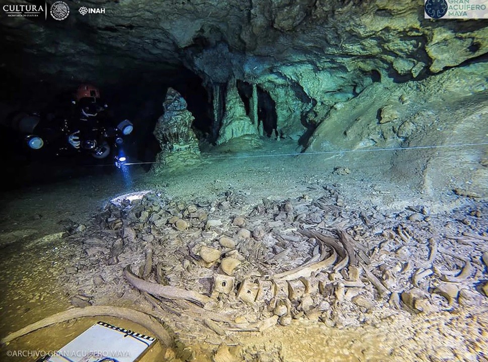 Ossos encontrados na caverna Sac Actun (Foto: INAH/GAM)