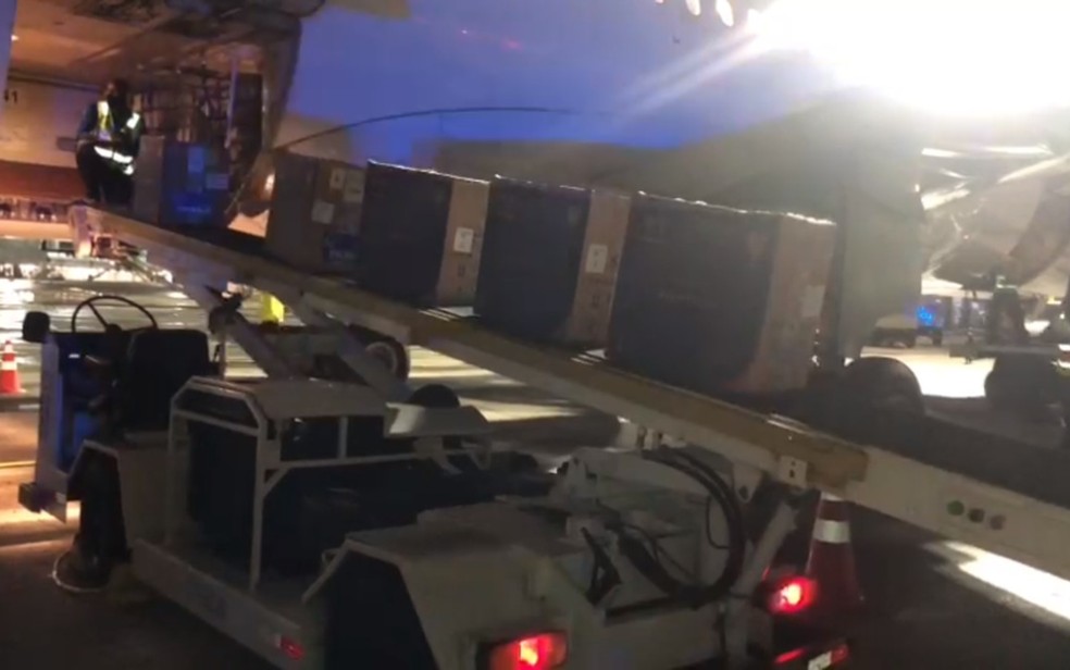 Covid-19: Bahia recebe mais de 107 mil doses da vacina Pfizer — Foto: Divulgação/Sesab