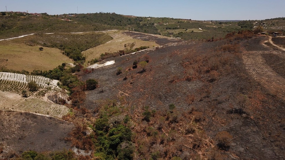 Focos de incêndio são registrados em área de vegetação na Chapada Diamantina — Foto: Divulgação / IPAH