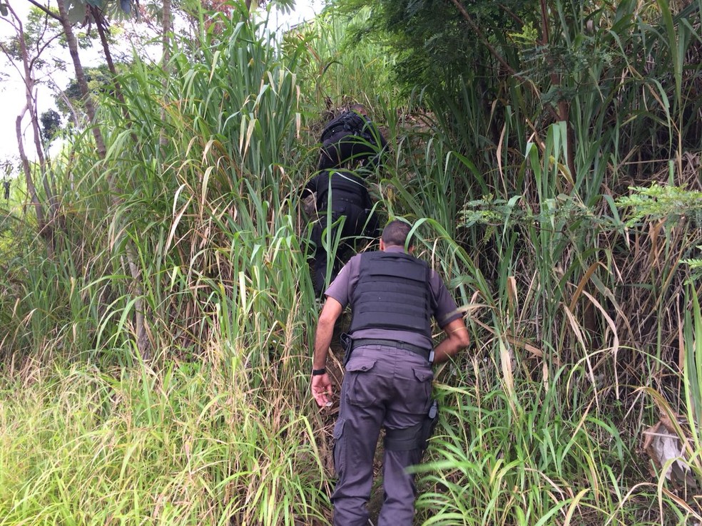 Operação Leão combate o tráfico de drogas em Paraíba do Sul (Foto: Polícia Militar/Divulgação)