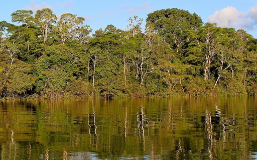 Já atingimos ponto de não retorno em algumas regiões da Amazônia, diz  pesquisadora - Agência Pública
