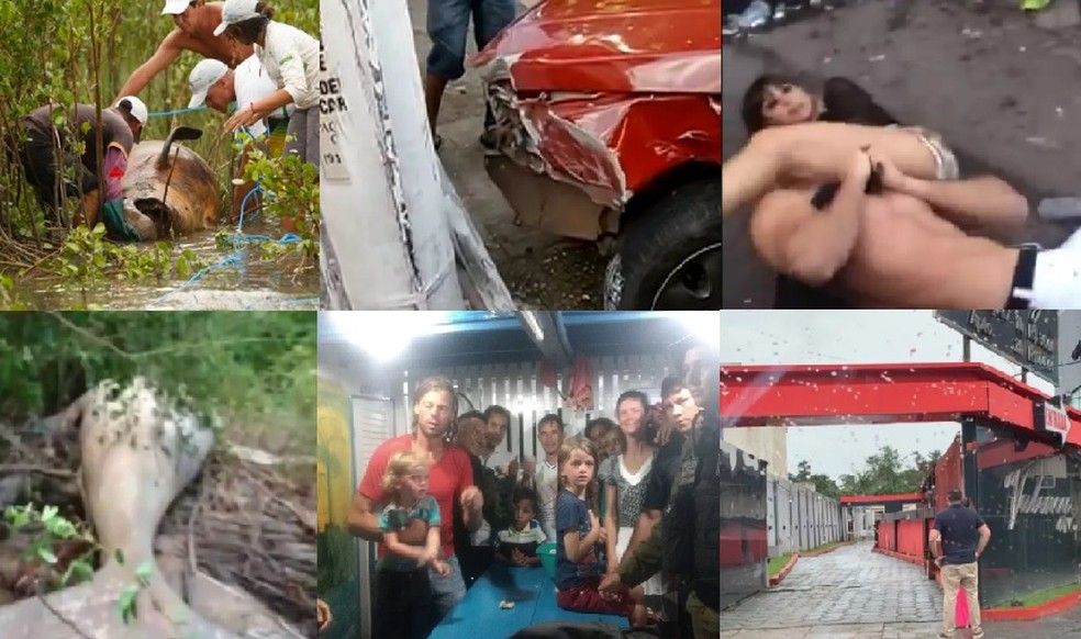 Imagens de algumas das reportagens mais lidas do g1 Pará em 10 anos  — Foto: G1/Reprodução 