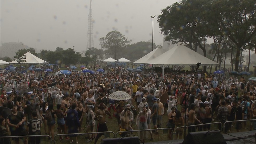 Público curte bloco 'Suvaco da Asa' apesar da chuva (Foto: TV Globo/Reprodução)