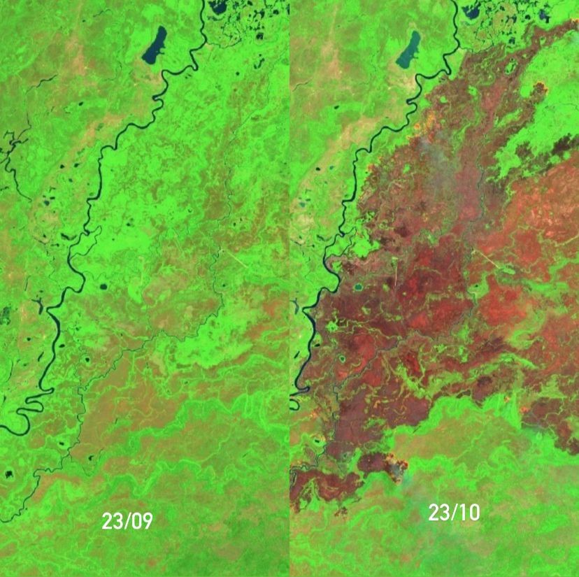 Incêndios no Pantanal de MT devastam 20,8% da área do Parque Estadual em três semanas; veja antes e depois