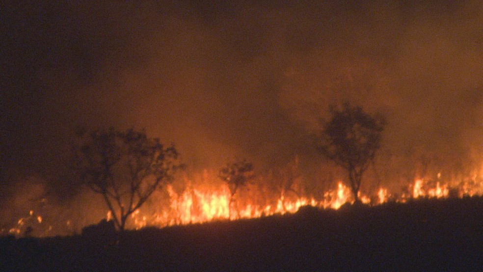 Incêndio florestal no Gama, nesta quarta-feira (7), no Distrito Federal — Foto: TV Globo/Reprodução