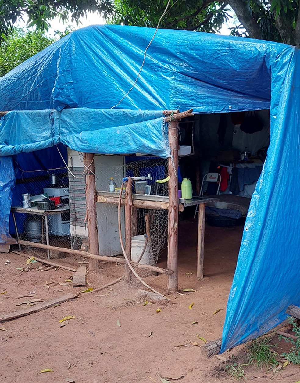 Situação mais grave foi encontrada nos alojamentos dos quatro trabalhadores resgatados de condições análogas à escravidão em Alfredo Marcondes (SP) — Foto: Ministério Público do Trabalho