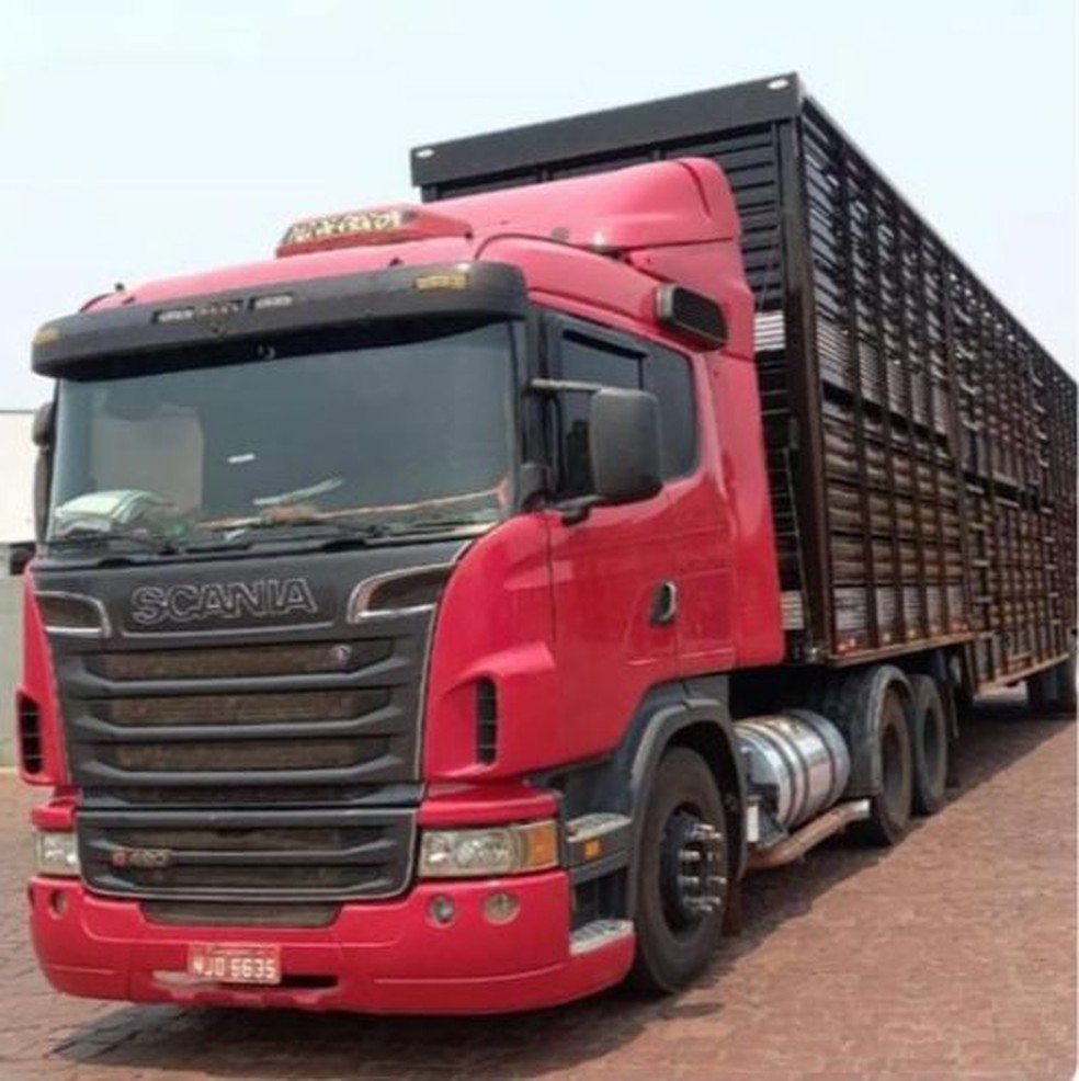 Carreta que transportava o gado foi roubada — Foto: Divulgação
