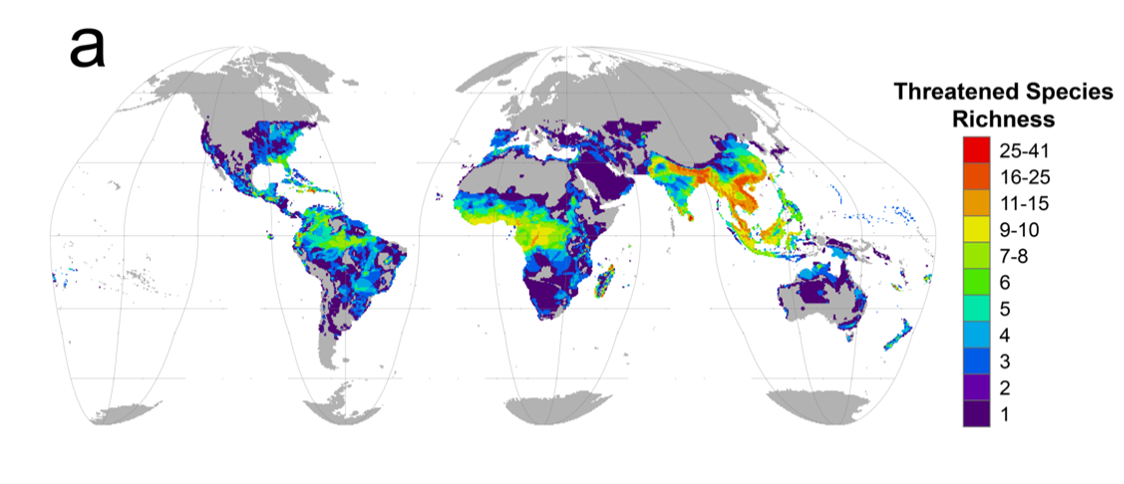 Distribuição geográfica de répteis ameaçados no planeta (Foto: Cox, N. and Young, B. E., et al.)