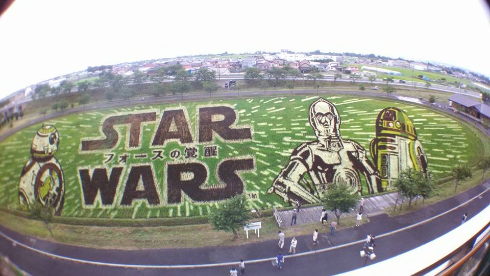 Homenagem a Star Wars (Foto: Reprodução/Facebook)