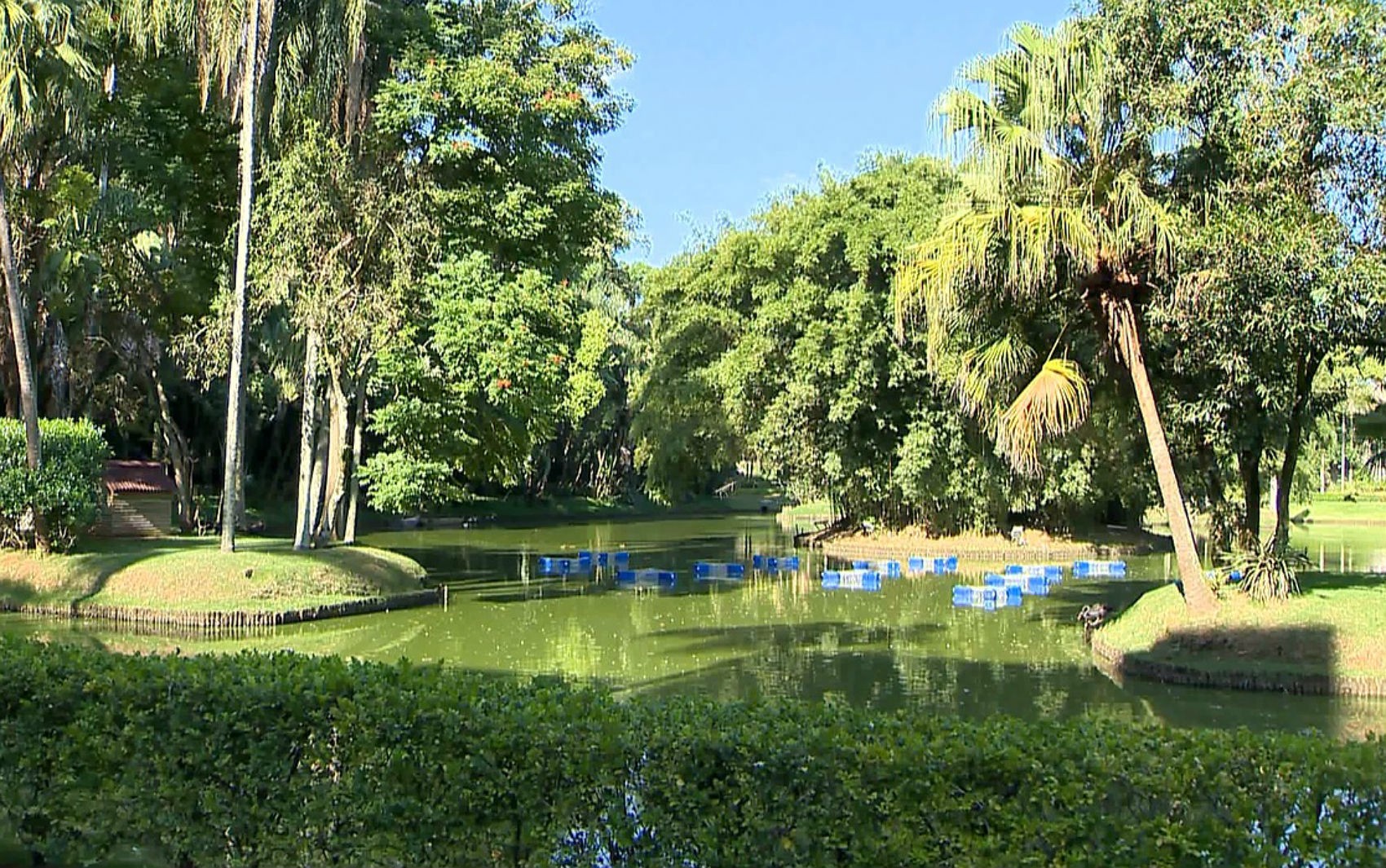 Museu Mariano Procópio lança licitação para pedalinhos no lago do parque em Juiz de Fora
