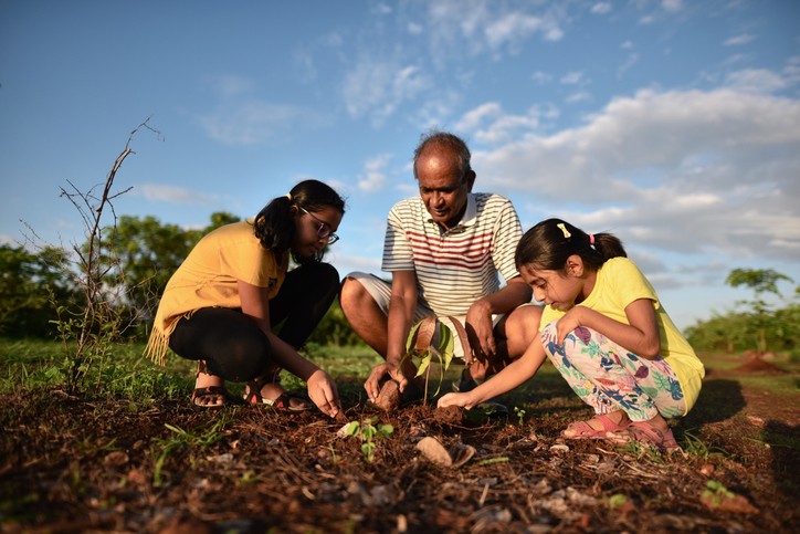 Grandfather planting a mango tree plant along with granddaughters (Foto: Getty Images)
