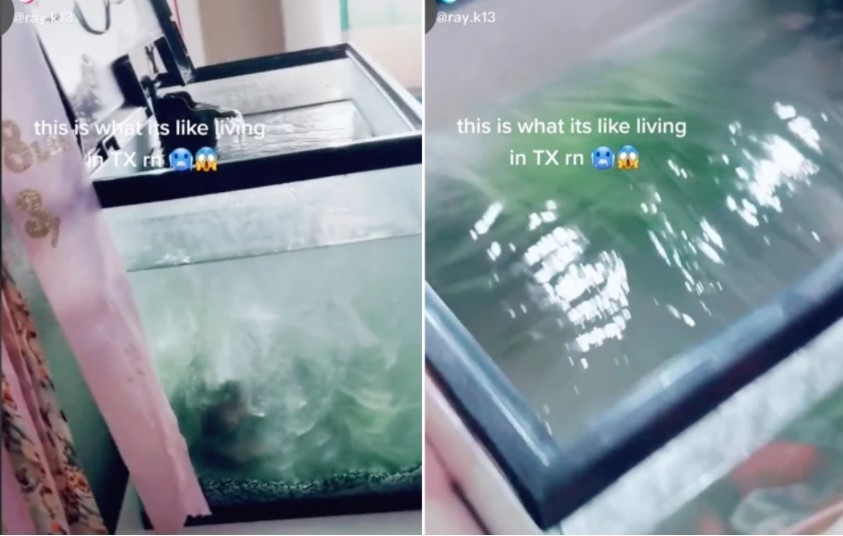 Texana viraliza ao compartilhar vídeo de aquário com água congelada (Foto: Reprodução)