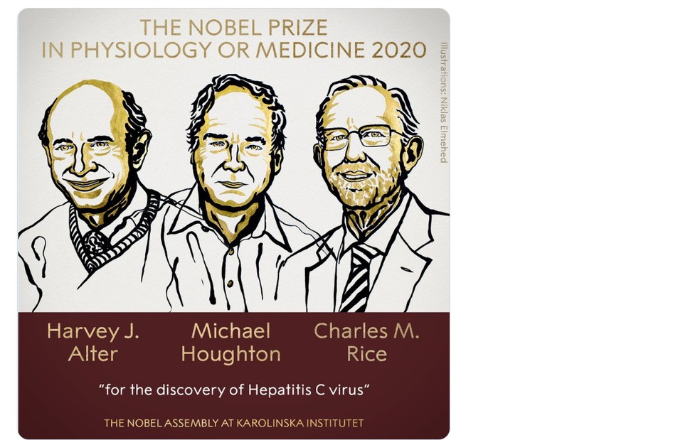 Imagem do anúncio oficial do Prêmio Nobel de Medicina de 2020, concedido a Harvey J. Alter, Michel Houghton e Charles M. Rice — Foto: Reprodução/Twitter