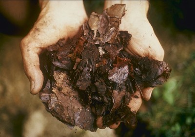 compostagem-terra-folhas (Foto: Creative Commons)