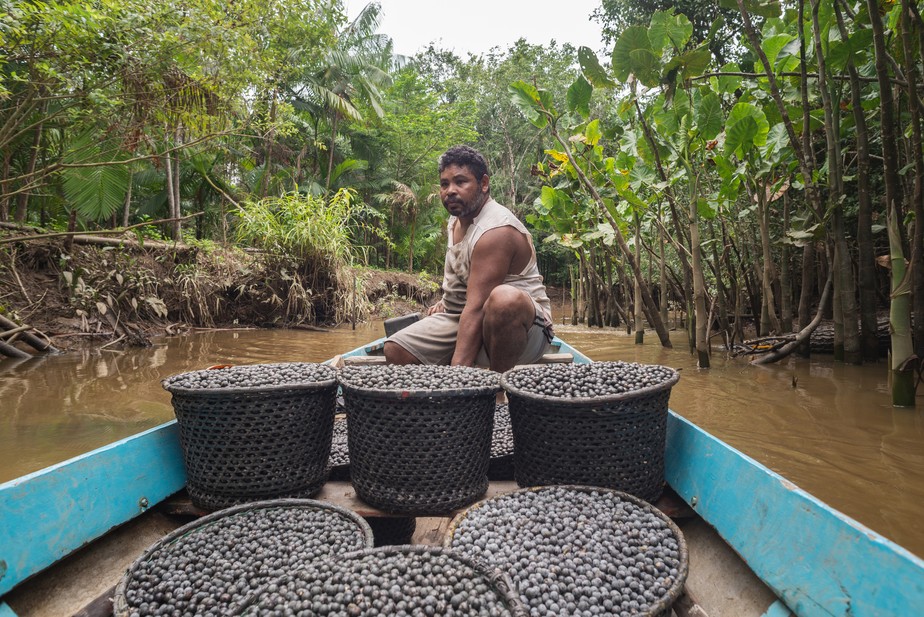 Homem transporta frutos de açaí em cestas de palha na Amazônia