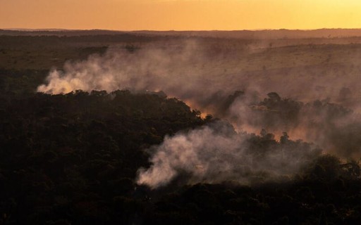 Regiões da Amazônia já atingiram ponto de não retorno, afirma pesquisadora  - Revista Galileu