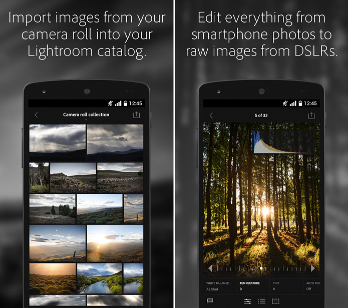 Adobe Lightroom mobile ? um app para edi??es de fotos no Android (Foto: Divulga??o)