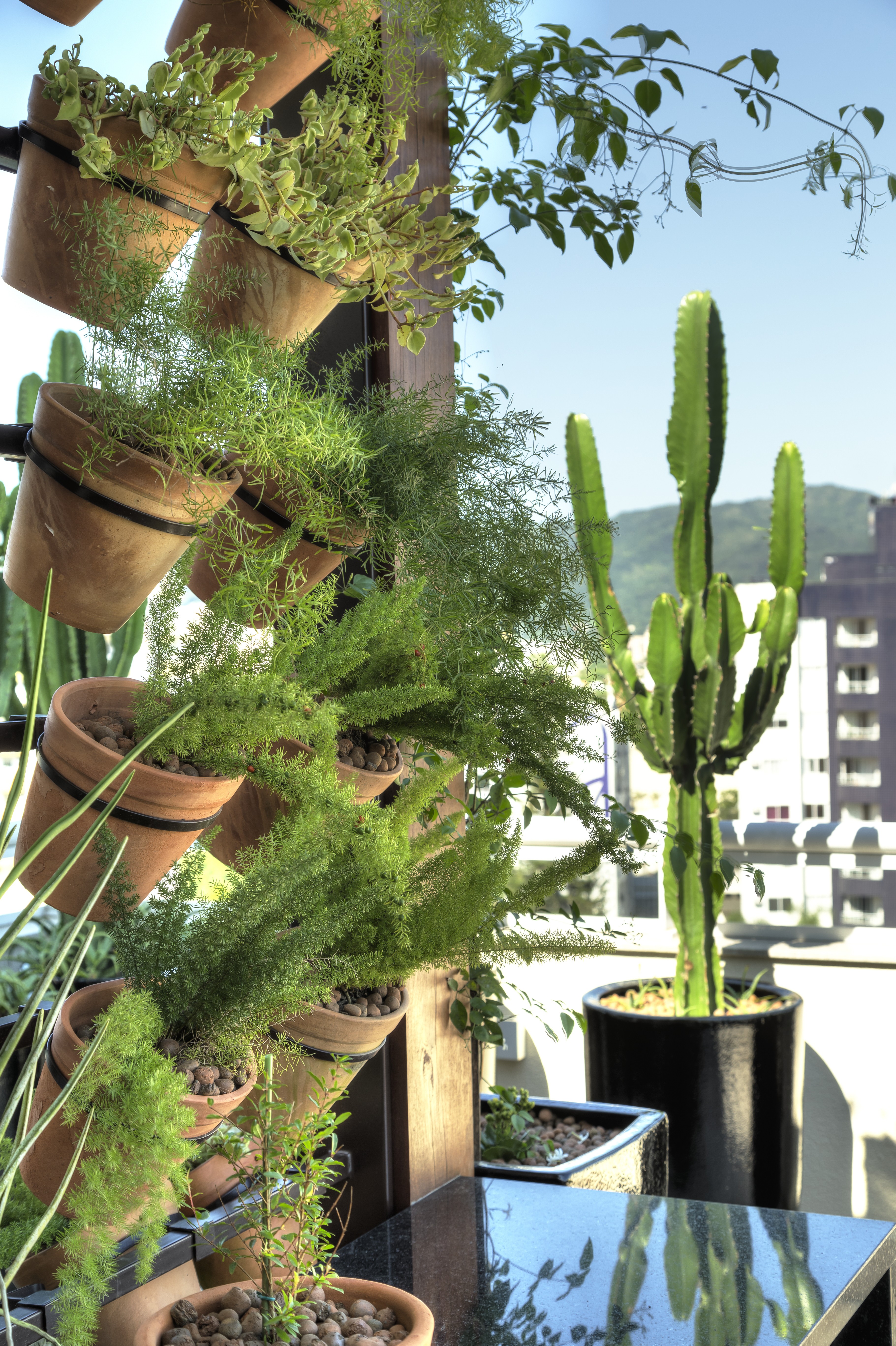 Varanda-jardim-vertical-ideias-dicas-projeto-paisagismo-plantas-decoração (Foto: Mariana Boro/Divulgação)