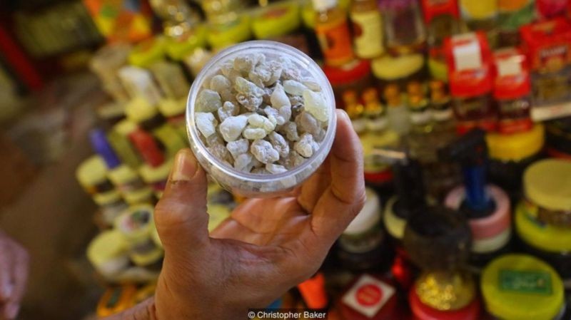 Em geral, quanto mais branca a resina de olíbano, mais valiosa (Foto: CHRISTOPHER BAKER/BBC)