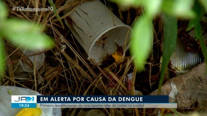Primeiro levantamento do ano aponta alta de casos de dengue em Palmas