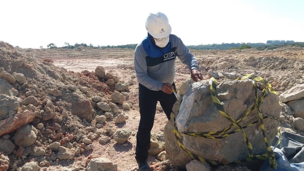 Bloco de arenito de 700 kg com fósseis de dinossauros é entregue ao  Complexo Cultural e Científico de Peirópolis em Uberaba | Triângulo Mineiro  | G1