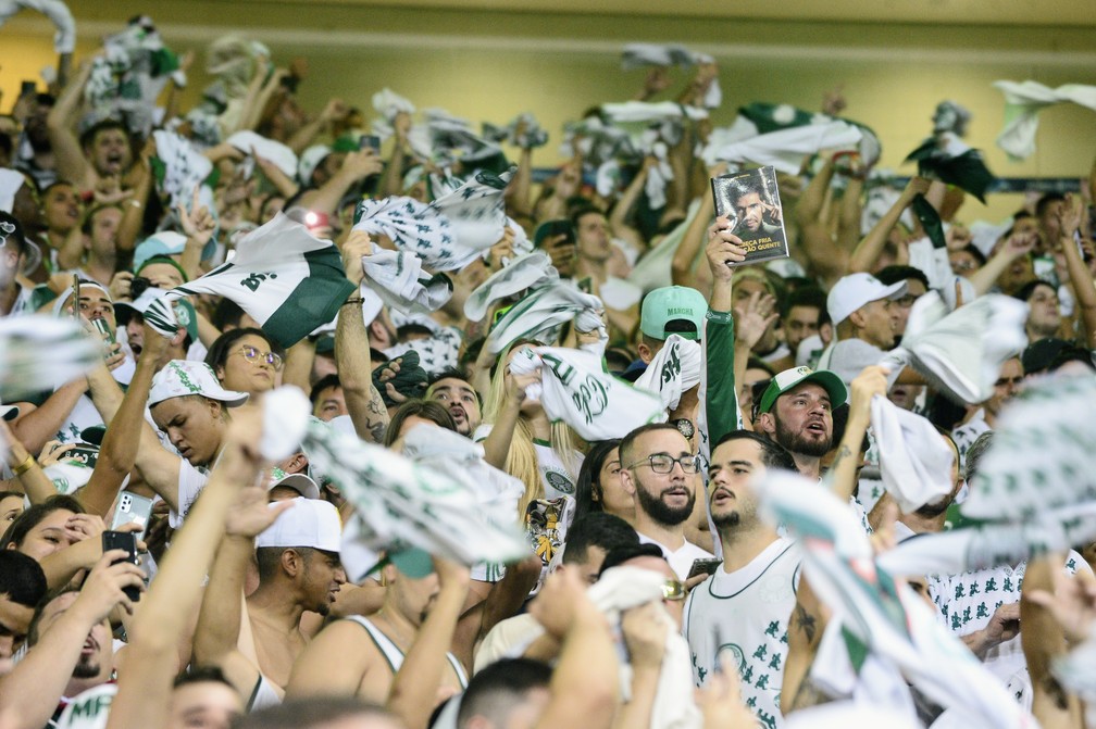 Dérbi faz Palmeiras registrar melhor público da temporada de 2022