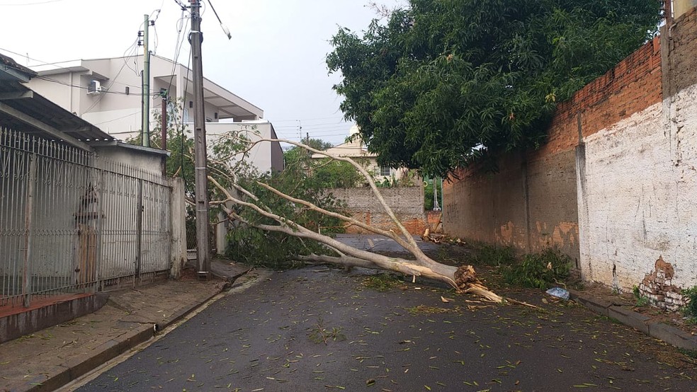 Casas foram interditadas pela Defesa Civil, em Presidente Prudente, devido a problemas provocados por tempestade — Foto: Heloise Hamada/g1