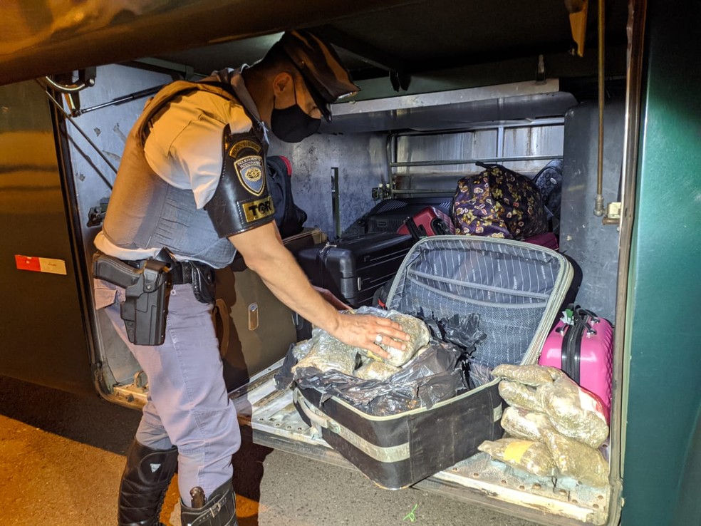 Droga foi encontrada na bagagem de uma jovem, de 18 anos — Foto: Polícia Militar Rodoviária 