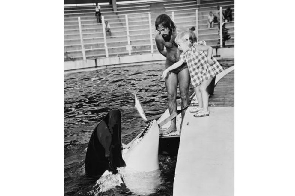 Lolita foi capturada nos anos 1970 — Foto: Getty Images