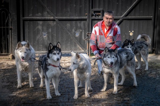 Andy e seus cinco huskies siberianos (Foto: Reprodução / James Linsell-Clark)